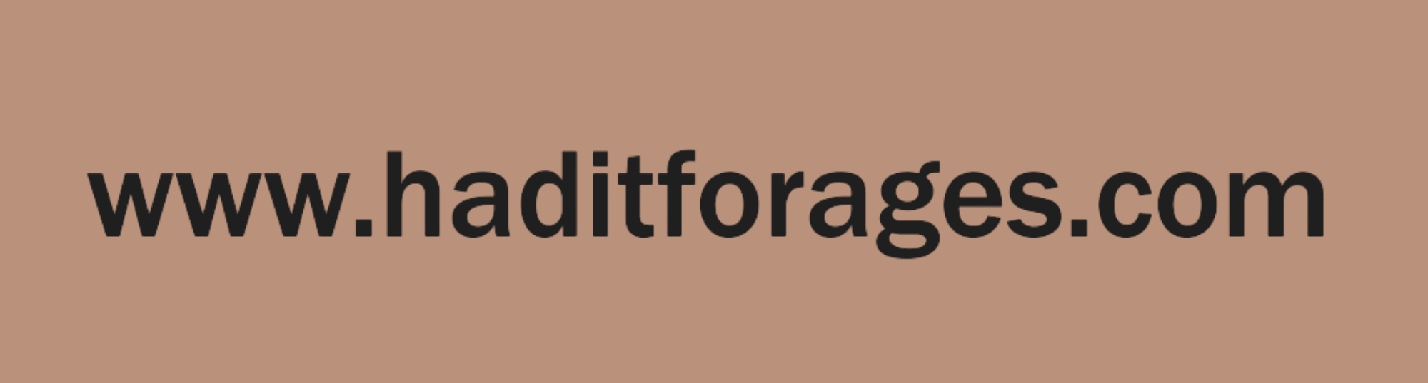 haditforages-com