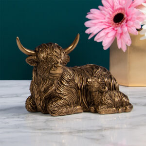 Laying Highland Cow with Calf